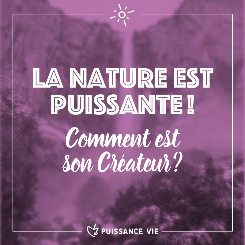 L'image de la semaine