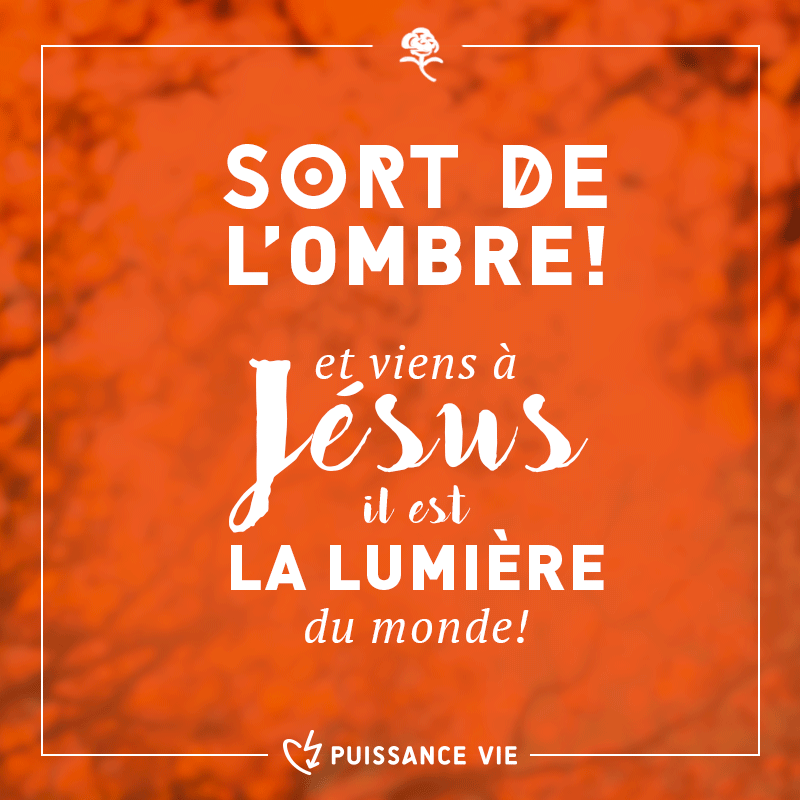 L'image de la semaine