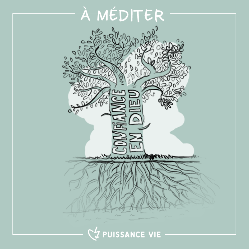 L'image de la semaine